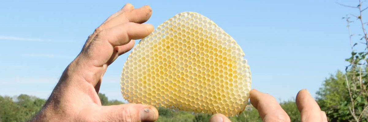 Honigprodukte aus Kilkis
